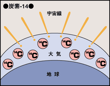 炭素-14