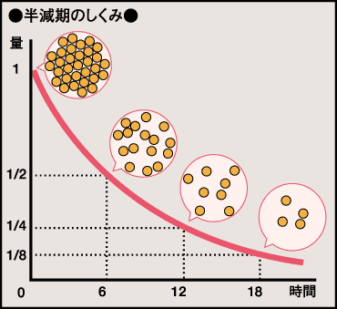 半減期のしくみ