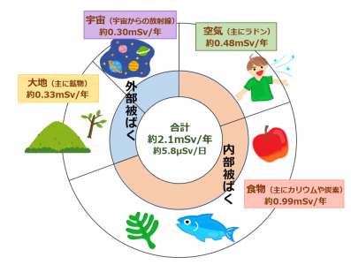 身近な放射線