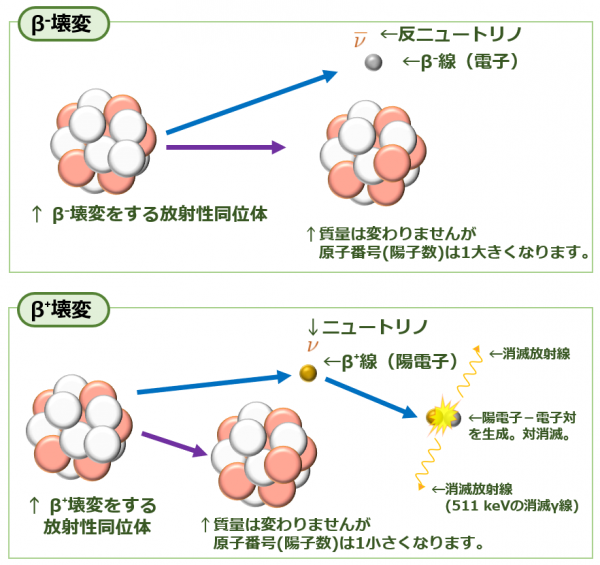 β-壊変