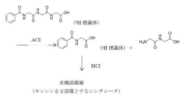 実験原理